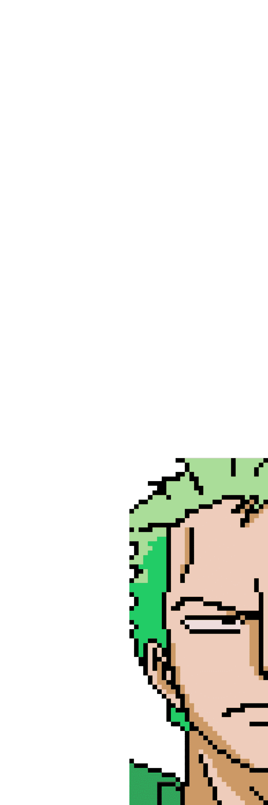 Pärlplatta mönster för Zoro